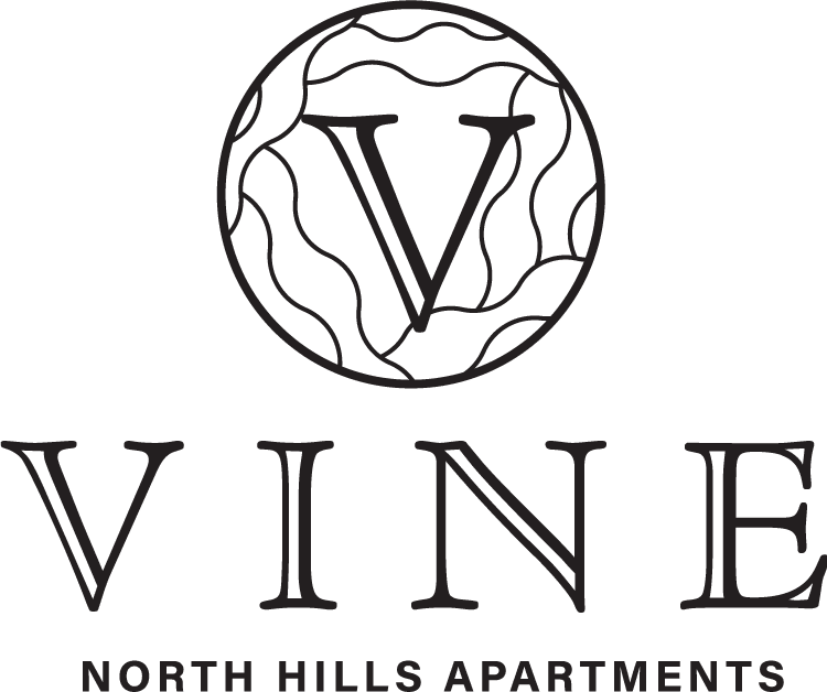KNE-VN-blackLogo-medium KNE-VN-blackLogo-medium